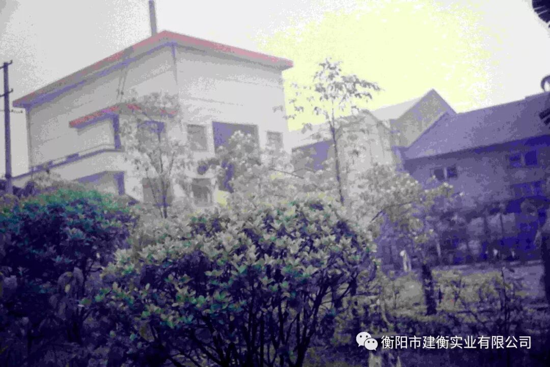 建衡六十年的风采