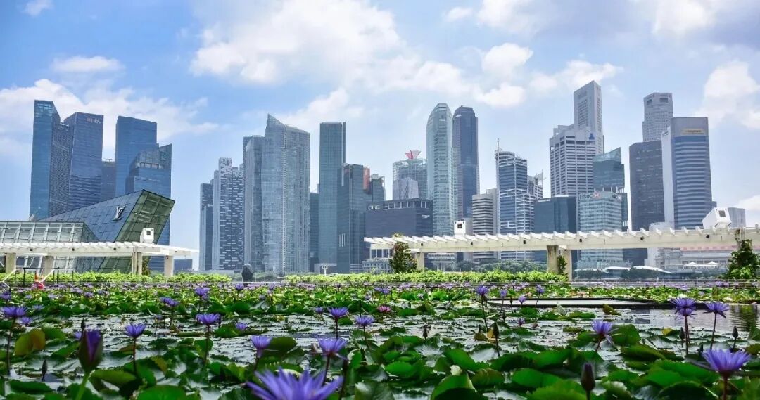 出國留學選哪個國家好_出國留學哪個國家最好 哪個國家更適合留學_適合出國留學的國家