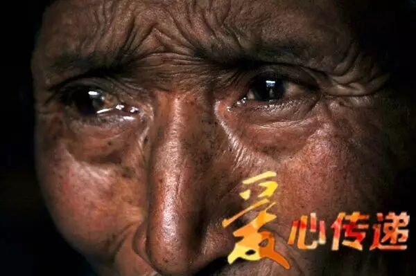 最后5天，枣子卖不完就喂牛羊了！这是一份爱心接力，需要您传递！ ... ...