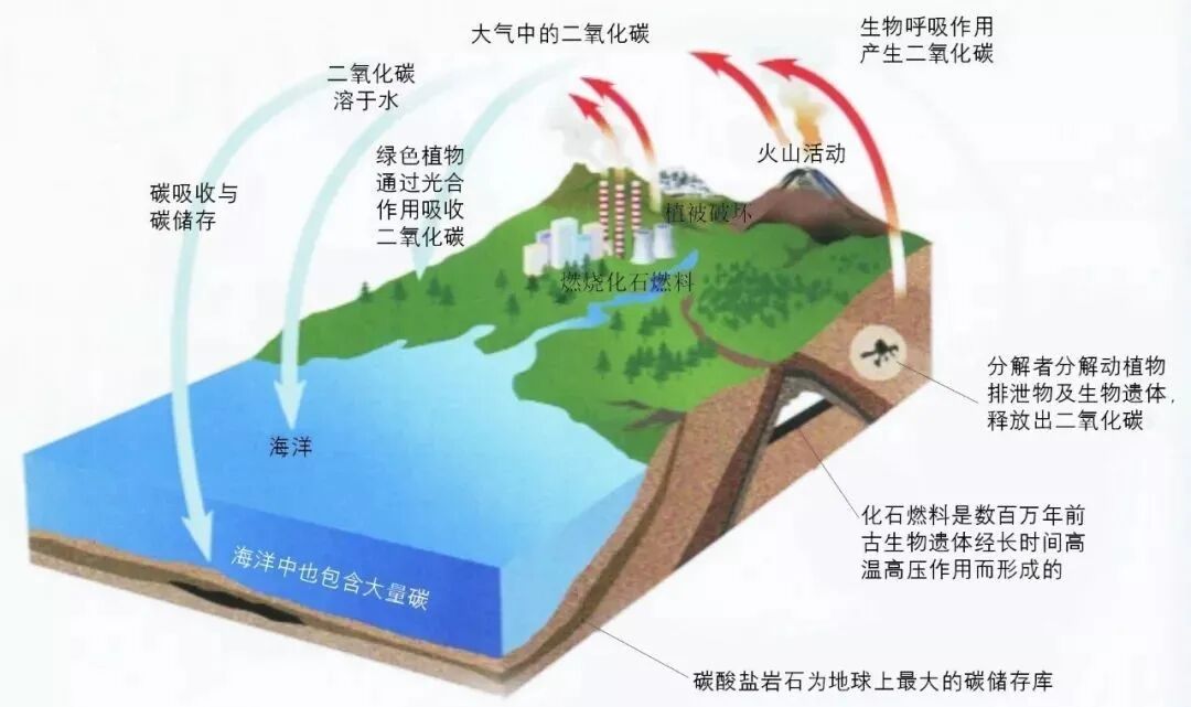 高清图库｜高中地理全套无码高清图片素材，收藏备用-图54