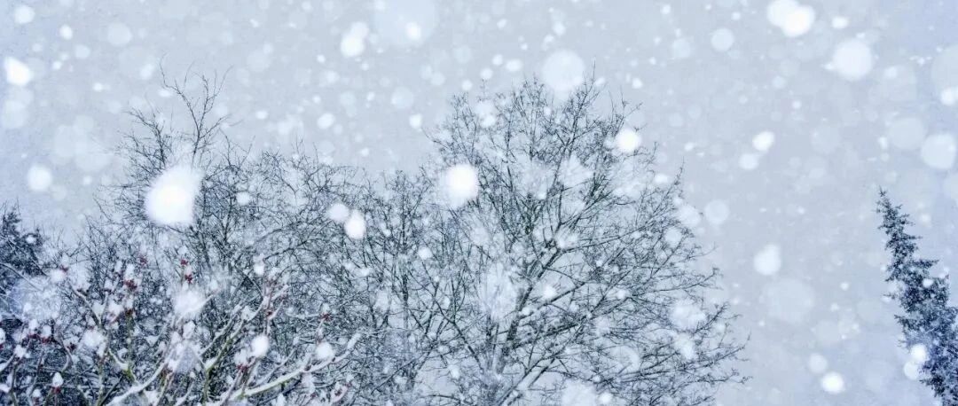 近期高发！心绞痛、心梗、脑梗塞……这个部位千万要保暖！