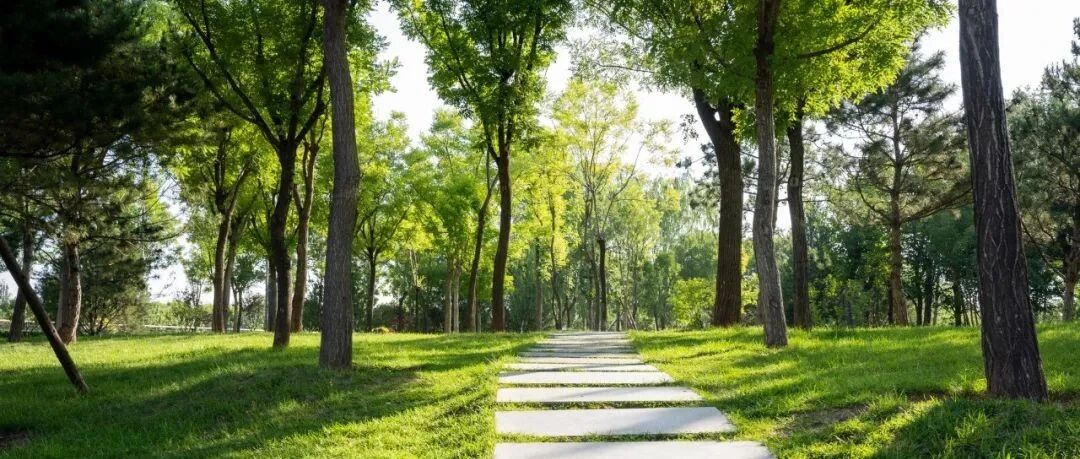 转发！收藏！这50条小知识，照着做健康一整年！