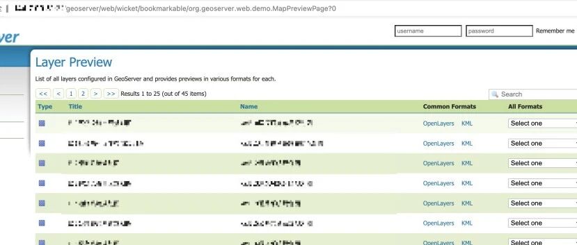 Example Image