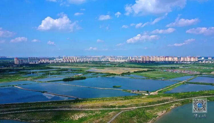 绿屏八里湾绿意盎然