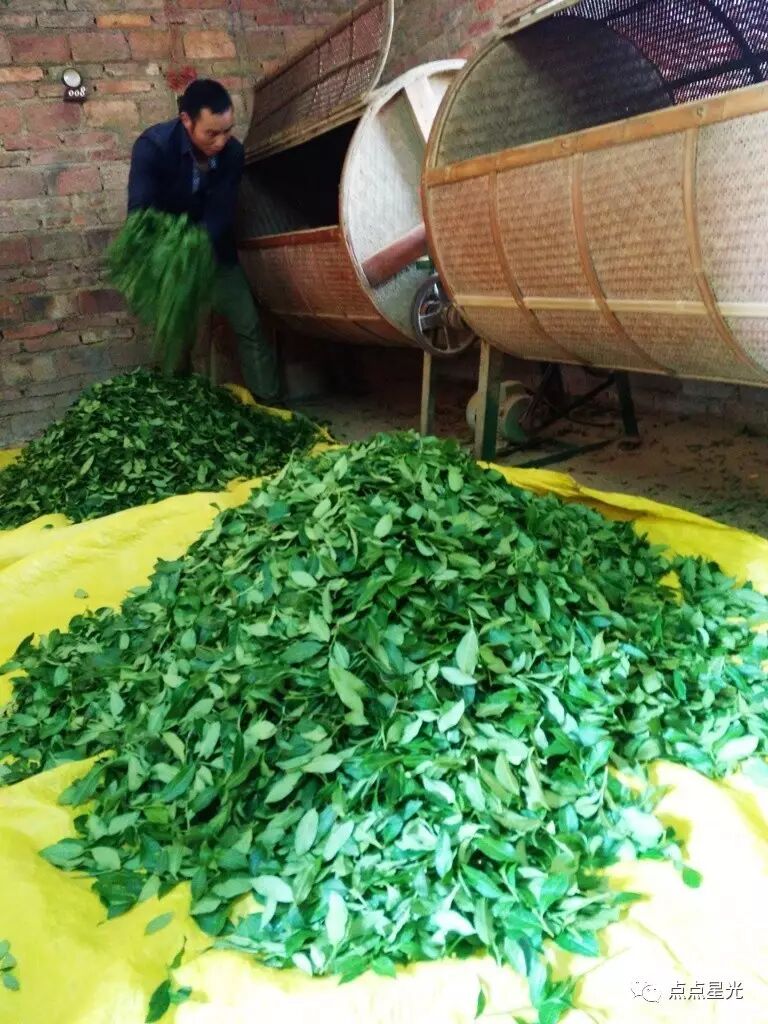 广西优质茶叶交流组