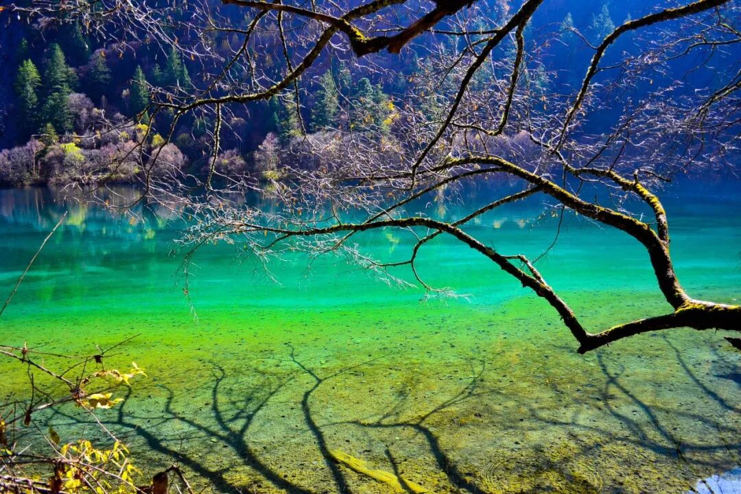 上海2小时车程的旅游胜地_重庆周边2小时车程自驾游_成都到九寨沟车程是几个小时