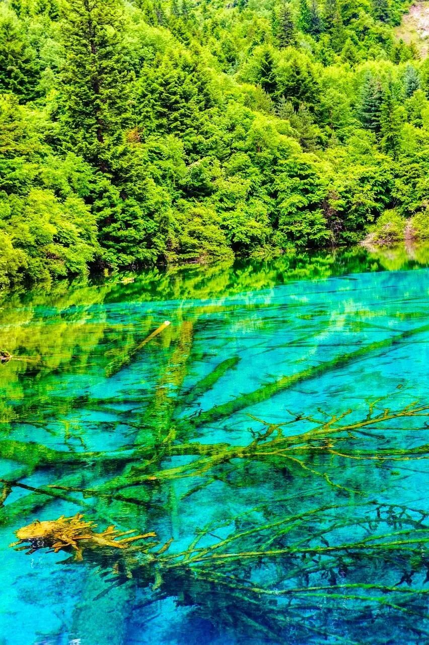 成都到九寨沟车程是几个小时_上海2小时车程的旅游胜地_重庆周边2小时车程自驾游