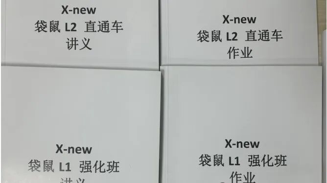 袋鼠数学竞赛