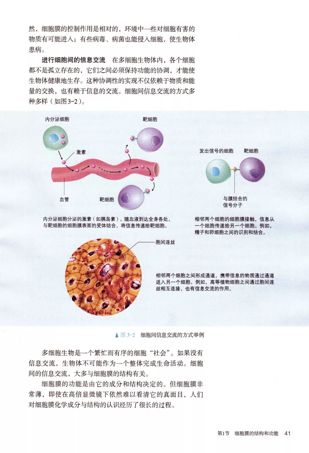 【生物必修1】3.1细胞膜的结构和功能（视频+文字）