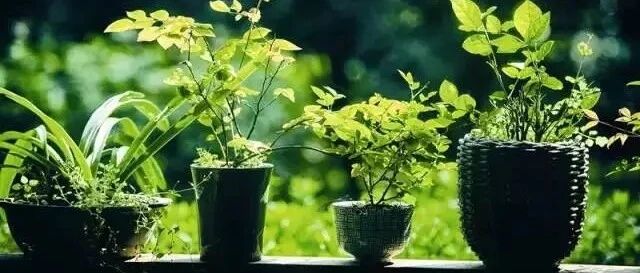 会说话是修养，管住嘴是教养