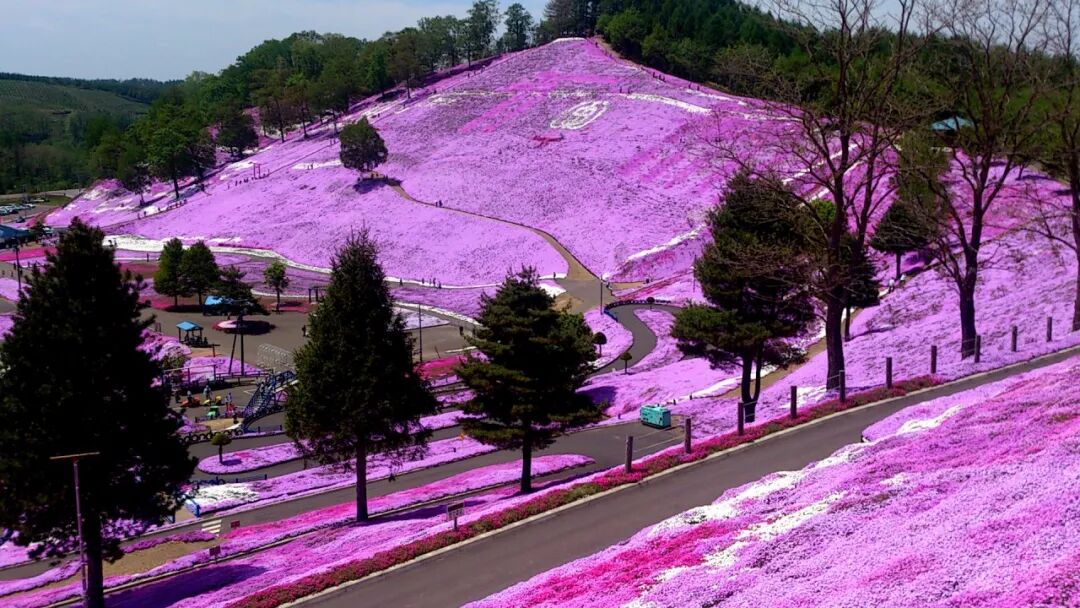 不止是冬季限定 你所不知道的北海道还有这些 有路网 Uoolu Com