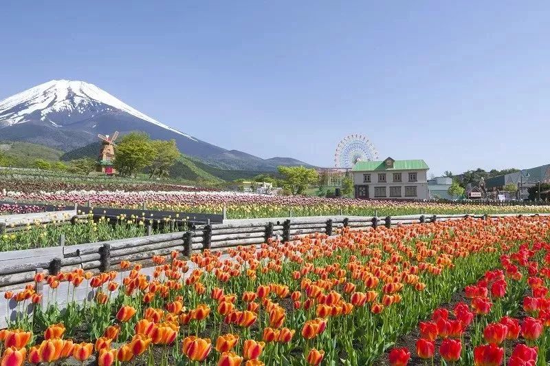 只想在富士山景前度假？那就收藏好這篇攻略！ 旅遊 第9張