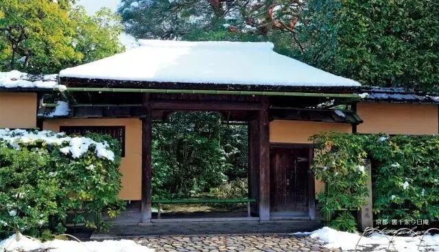 茶道 每一次沏茶都是傾盡全力的匠心之作 霓虹國生活專家 微文庫