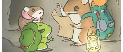 五年过去了，还记得你养的“蛙儿子”吗？