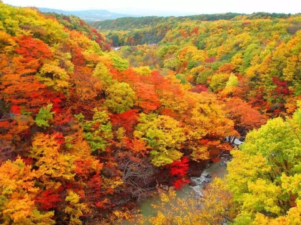 紅葉 溫泉 溼原與岬的北海道之秋 嬉遊 微文庫