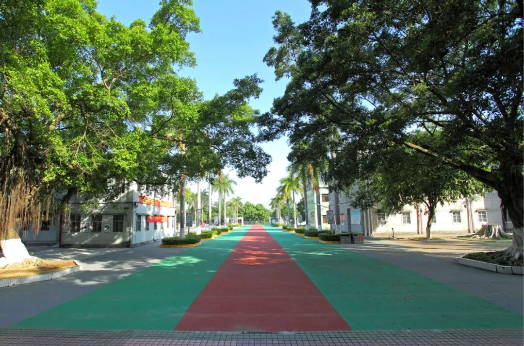 襄助教育筑梦未来苍城镇红心暖城系列活动之开平市第八中学新运动场