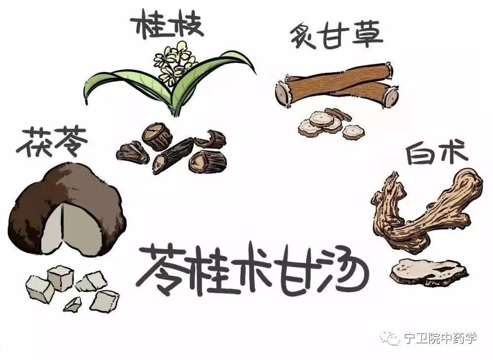 每日学一方——苓桂术甘汤
