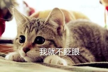 深圳安居房新引进人才_深圳市人才安居办法_深圳安居人才房申请条件