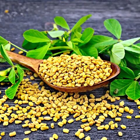 葫芦巴籽完美到不敢相信 能催奶 丰胸 降糖 减肥 真的这么神 澳纽宝贝 微信公众号文章阅读 Wemp