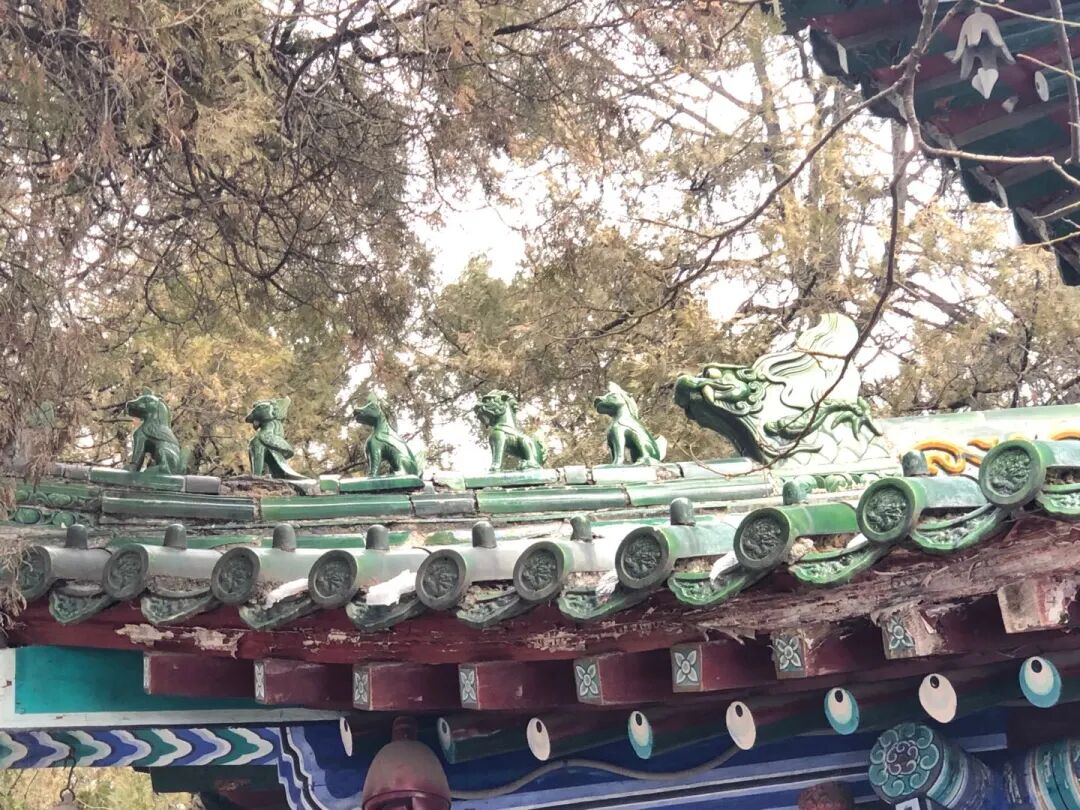 少林寺里的“龙生九子”