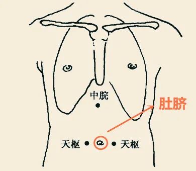 天枢穴(肚脐旁开2寸处,中脘穴(胸骨下端与肚脐连线的中点,足三里穴