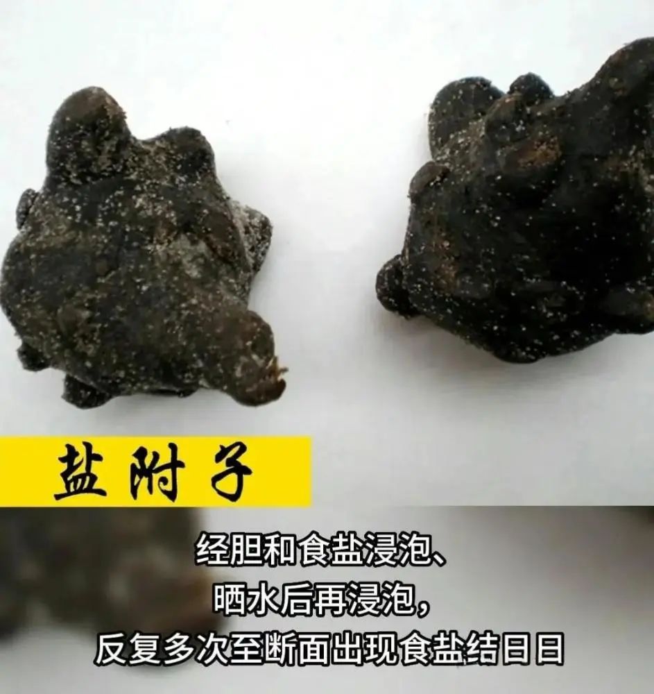 炮附子加青盐的功效与作用是什么