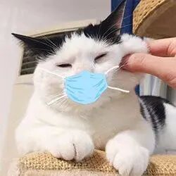 北海道の夏 我的北海道旅记 北海道大学花费 下篇 北海新闻