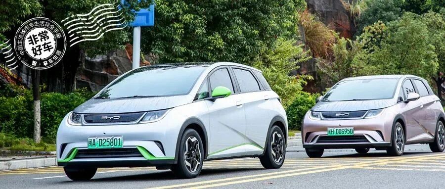 领潮逐浪，海豚来袭