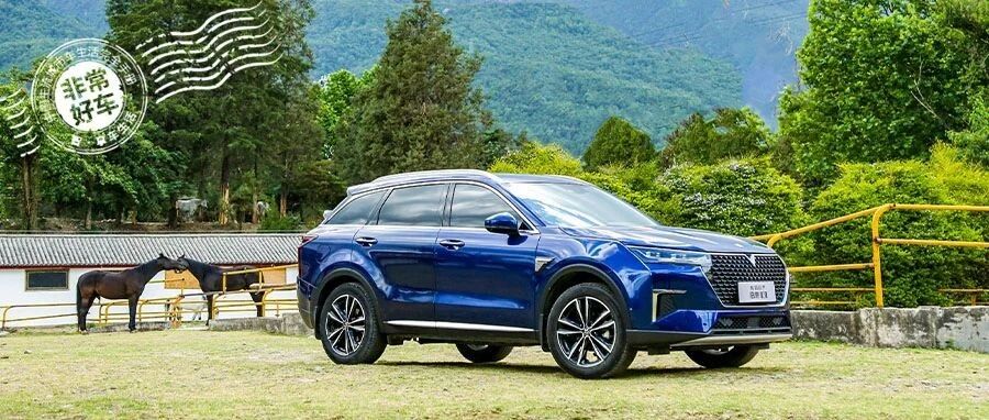 十年磨一剑，启辰星凭什么让市场老炮都刮目相看？