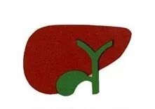 联磁共振是什么【肝血管瘤与HCC影像鉴别诊断】韩雪凤 井桂银 葛尚《肝脏》：磁共振联合双源CT三期增强扫描对肝血管瘤与肝细胞癌鉴别诊断价值_https://www.jmylbn.com_新闻资讯_第8张