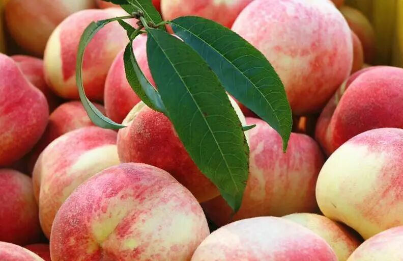 图片来源于微博美丽阳山