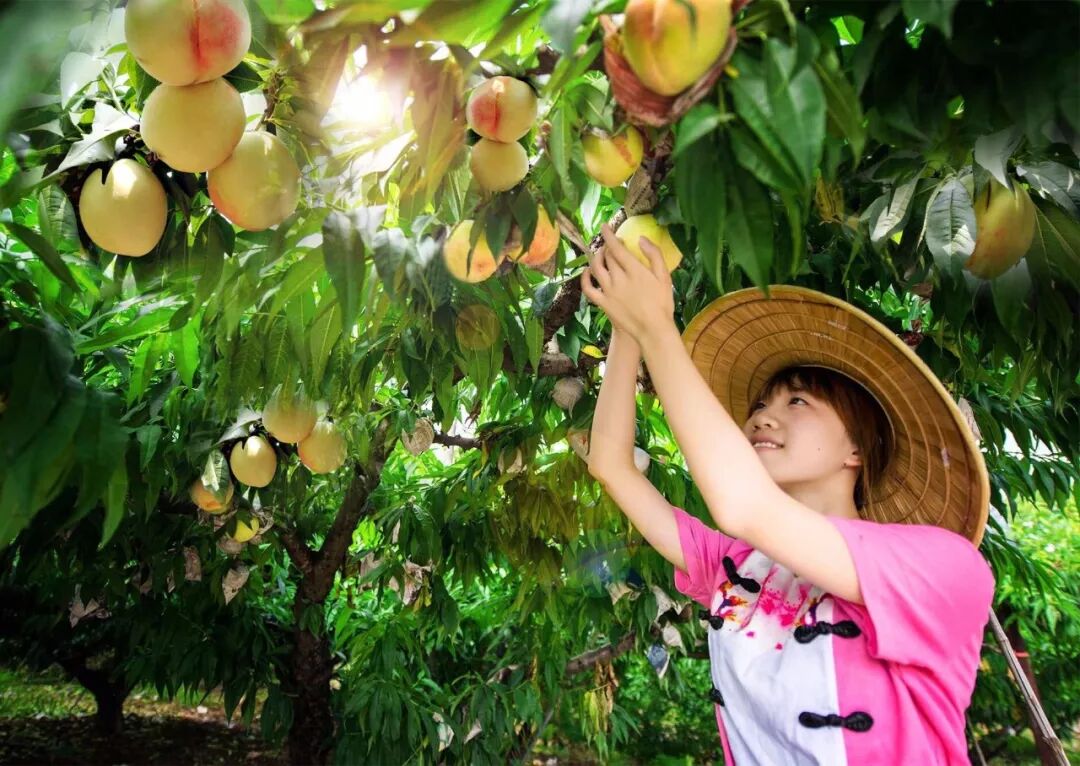 图片来源于微博美丽阳山