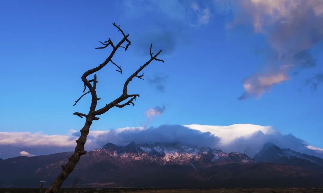 640?wx_fmt=jpeg&tp=webp&wxfrom=5&wx_lazy=1&wx_co=1