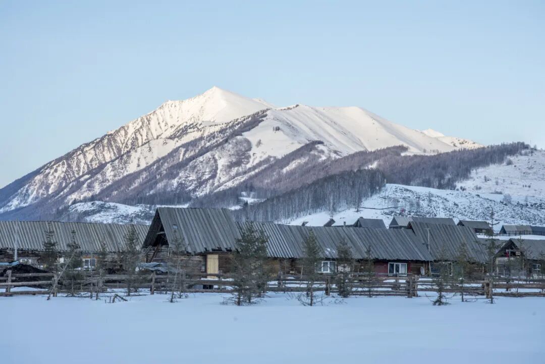 640?wx_fmt=jpeg&tp=webp&wxfrom=5&wx_lazy=1&wx_co=1