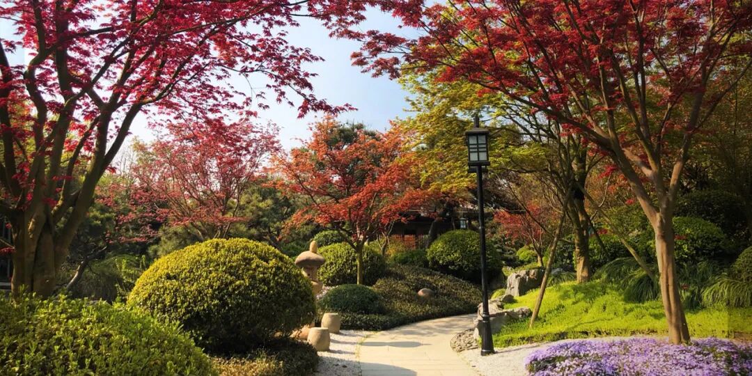 上海崇明房价2020_崇明房价分析_崇明房价