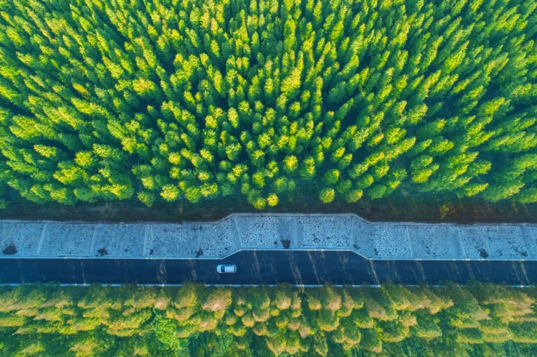 崇明房价_崇明房价分析_上海崇明房价2020