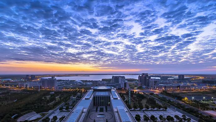 售馨和售罄的区别 小胖看房团自贸区看房团周末开启啦，板块深度解读+热门楼盘房源