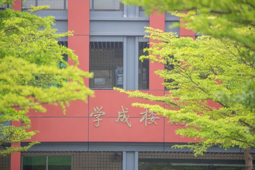 深圳龙岗成人学校_深圳龙岗成人大专_龙岗成人教育培训机构