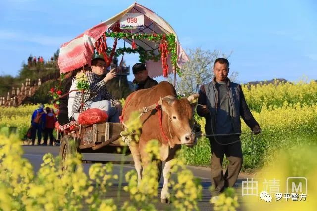 罗平旅游指南_罗平旅游路线_罗平旅游