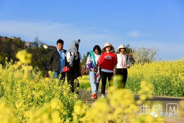 罗平旅游_罗平旅游路线_罗平旅游指南