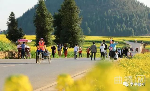 罗平旅游_罗平旅游指南_罗平旅游路线