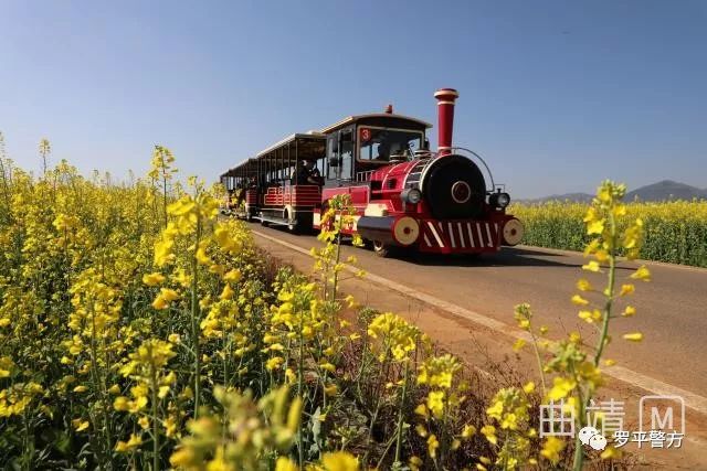 罗平旅游指南_罗平旅游路线_罗平旅游