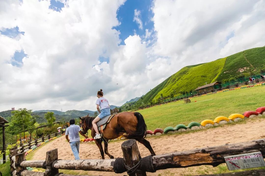 2020航空夏令营-1260 