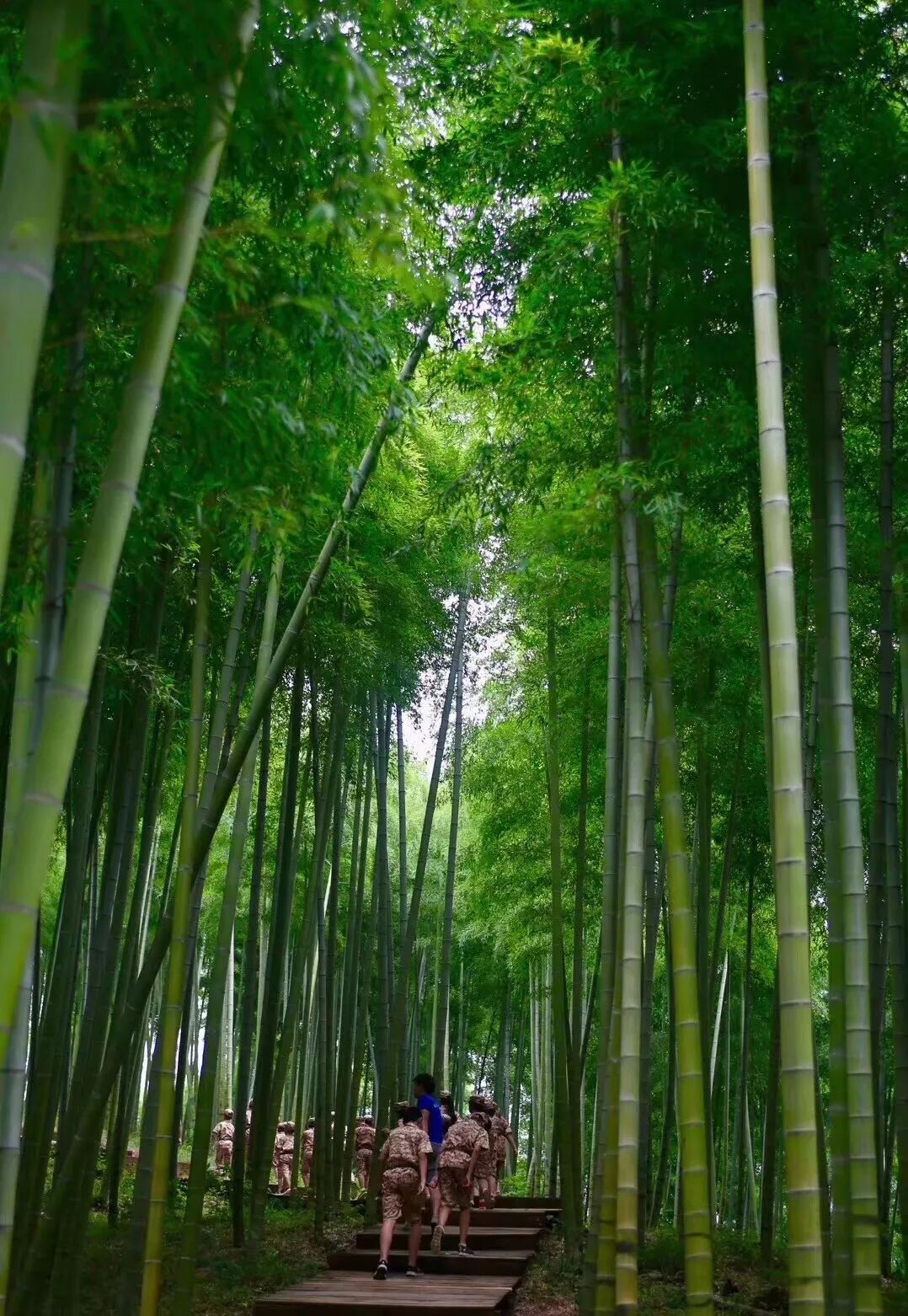 2020航空夏令营-5558 