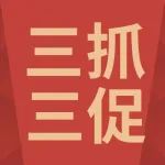 “三抓三促”行动应知应会