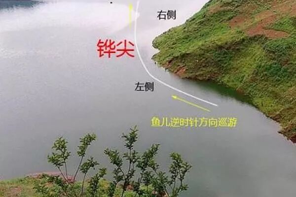 佳钓尼,岳父让我"供出"自留地 - 佳钓尼官方旗舰店