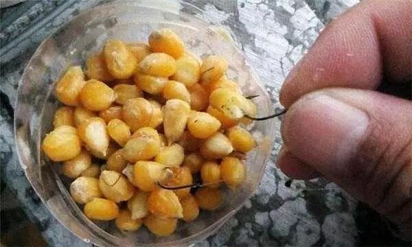 至于简单的玉米泡法有几种方法基本如下