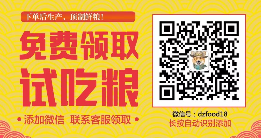 金毛被嫌棄醜，一個月後毛發油亮反光，網友：不科學... 職場 第14張