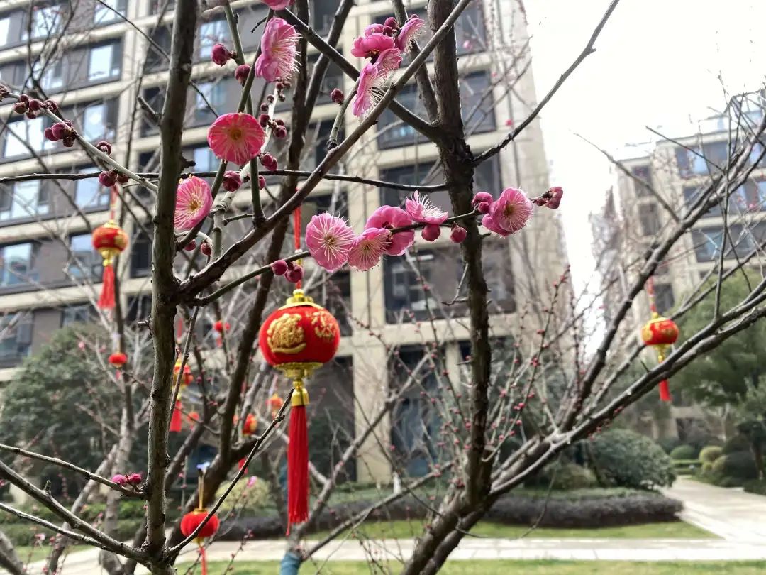 而行相约向春野指南玩五一完一安徽起去开,看庐江露营撒