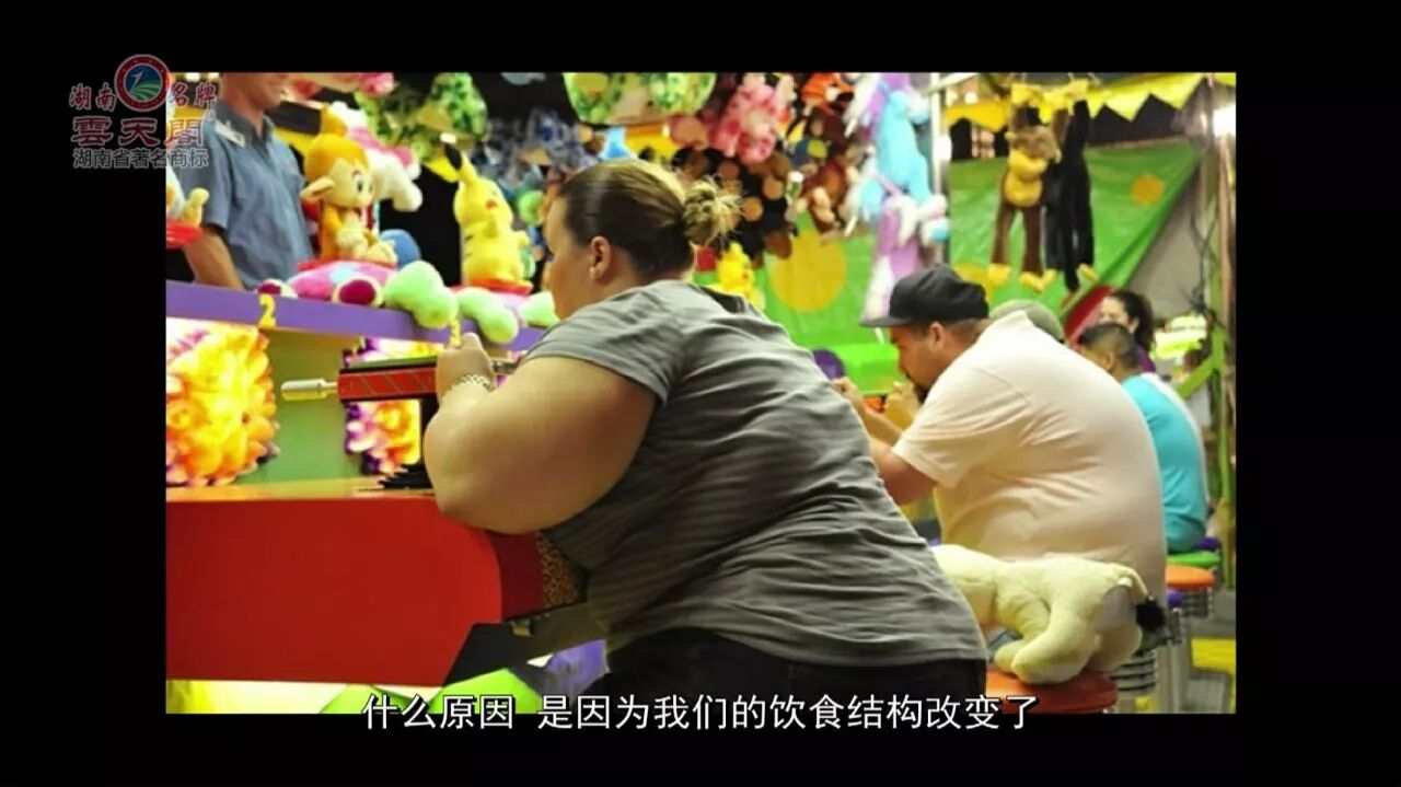 刘仲华院士：黑茶降血脂的功能好处（视频）